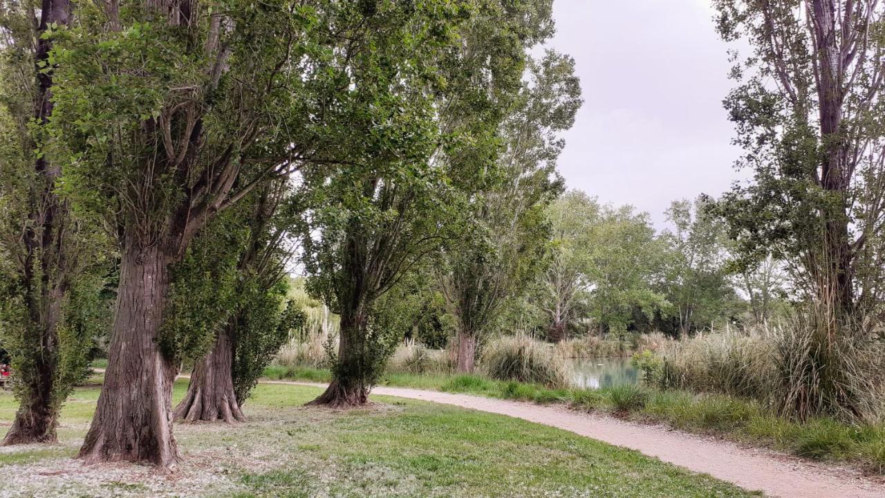 Studio 24 M2 - Hameaux De Camargue - Village 9 - 13200 アルル エクステリア 写真