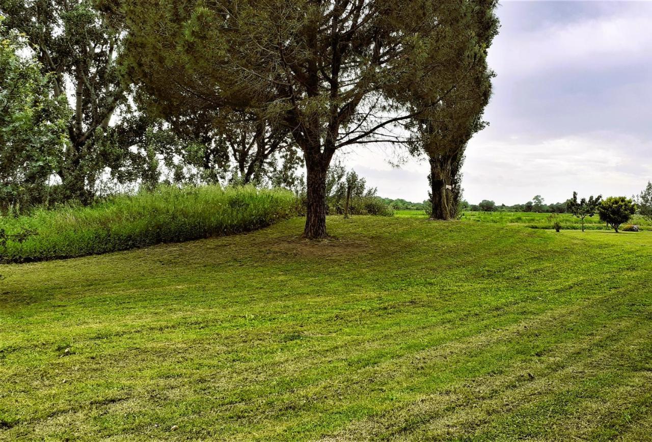 Studio 24 M2 - Hameaux De Camargue - Village 9 - 13200 アルル エクステリア 写真